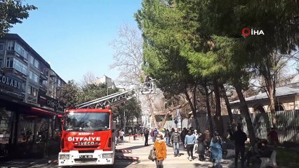 Köpekten korkarak ağaca çıktı mahsur kaldığı yerden itfaiye tarafından indirildi