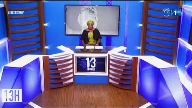 RTG/ Audience du président de la république avec le coordonateur résident du système des nations unies et représentant résident du PNUD au Gabon