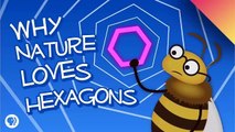 Why Nature Loves Hexagons??