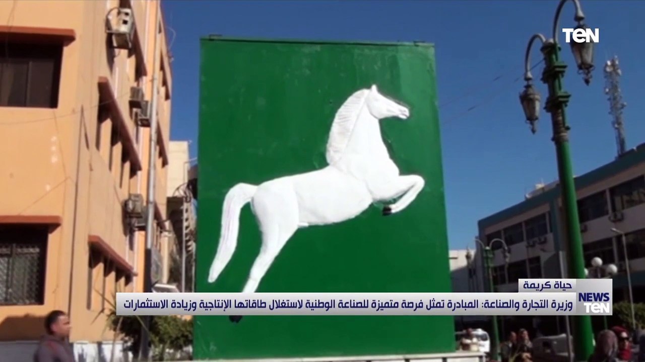 محافظ الشرقية دخول 41 قرية بمركز الحسينية ضمن مشروع تطوير القرى