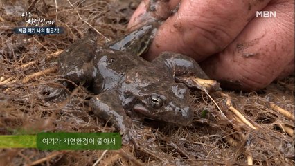 ※깜놀주의※ 자연인의 용천수에서 만난 반가운 친구들(?)