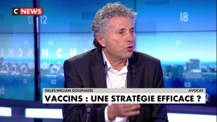 Gilles-William Goldnadel sur la vaccination : «L’Etat-nation français est déficient»