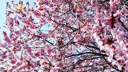 How To Keep Inevitable Winter Allergens at a Minimum