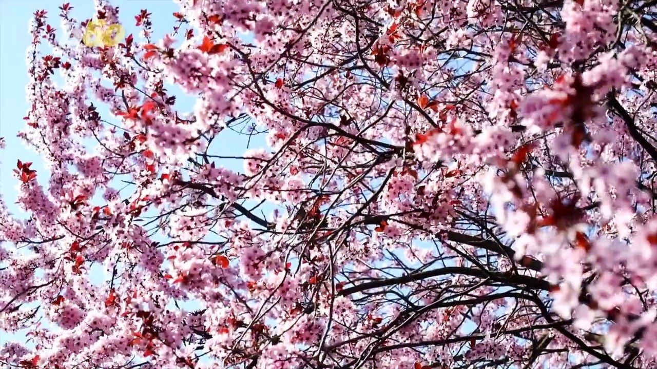 How To Keep Inevitable Winter Allergens at a Minimum
