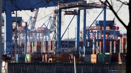 Rekordkokainfund im Hafen in Hamburg