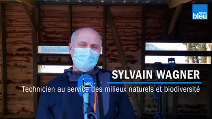 Sylvain Wagner / Technicien au service des milieux naturels et biodiversité