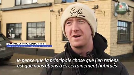 Virus: un pub irlandais se reconvertit en clinique pour animaux sauvages