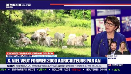 Chrisitiane Lambert (FNSEA) : Xavier Niel veut former 2 000 agriculteurs par an - 24/02