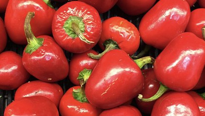 A Closer Look at the Pimento, an Unsung Hero of the Pepper Kingdom