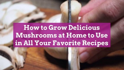 How to Grow Delicious Mushrooms at Home to Use in All Your Favorite Recipes