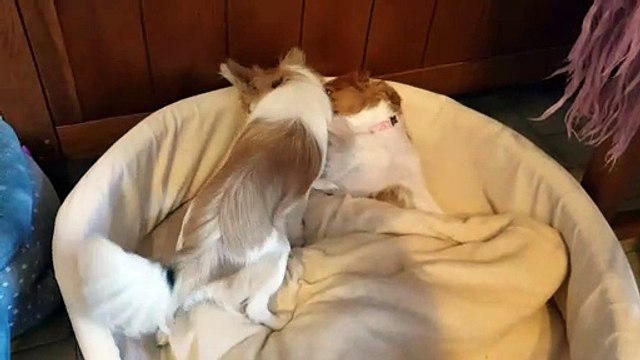 Jeux chez papy et mamie