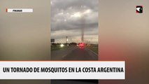 Un tornado de mosquitos en la Costa Argentina