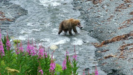 Under-the-Radar Alaskan National Parks With Wild Scenery and Incredible Adventures