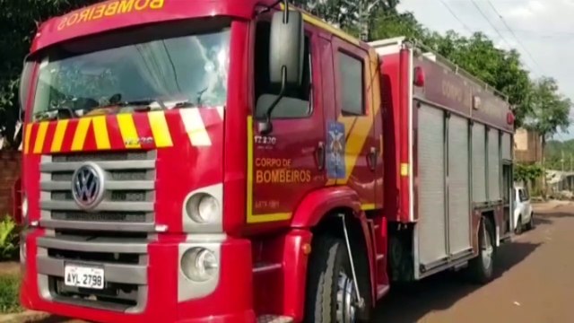 Morador do XIV de Novembro aciona Bombeiros para realizar corte e poda de árvore no quintal da residência