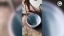 Moradores de Manguinhos registram água escura saindo das torneiras