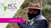 Bolivianos recurren a plantas ancestrales para prevenir el coronavirus
