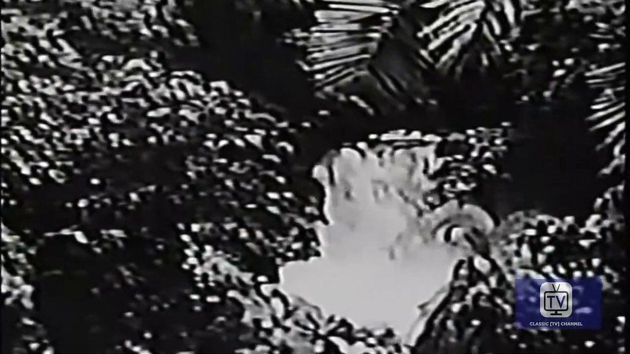 Sheena - Season 1 - Episode 8 - Forbidden Cargo | Irish McCalla, Christian Drake, Neal the Chimp