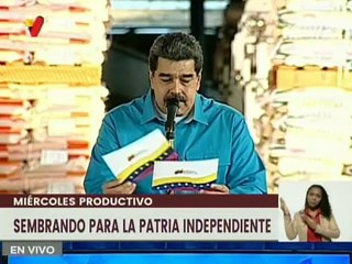 Asociación cooperativa Flores del Palmar en Monagas produce 1160 hectáreas de soja y frijol