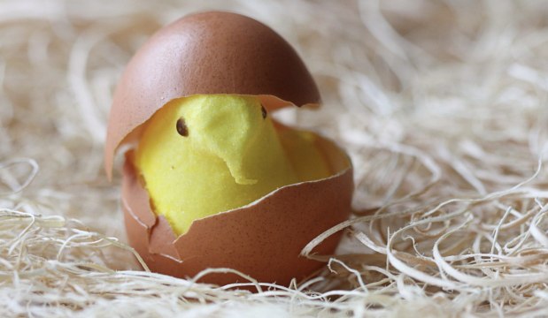 Peeps Grass Will Make Your Easter Basket Smell Like Marshmallows