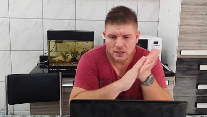 Perguntas e respostas sobre pássaros # 2