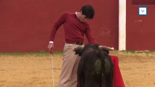 Álvaro Lorenzo: ‘El campo es el mejor lugar para seguir ahondando en mi toreo’