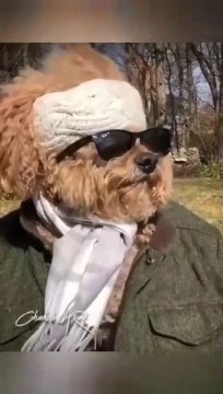 Funny rap 2 snap#rap #hiphop #music #rapper #trap #beats #rapmusic #Artist #love #producer #newmusic #hiphopmusic #freestyle #rappers #soundcloud #art #explorepage #spotify #follow #Youtube #dj #like #trapmusic #rnb #hiphop #bhfyp #beat #musicproducer #mu