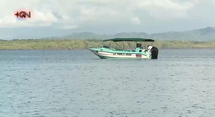 mqn-Violines es un paraíso de tan solo 19 familias -240221