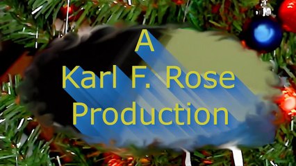 Cooking on Xmas day 2019 l Food and health l Karl's news