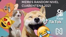 Memes Random Nivel: Cuarentena 2021