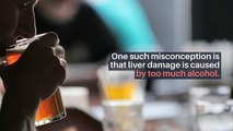 Liver damage myths debunked Siggi Clavien