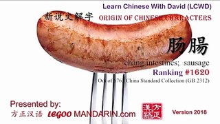 Origin of Chinese Characters - 1620 肠腸 cháng intestines;  sausage