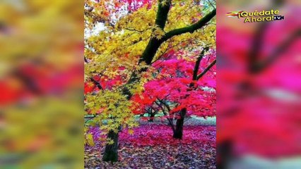 Reflexión Tía Dora 20 de Febrero 2021