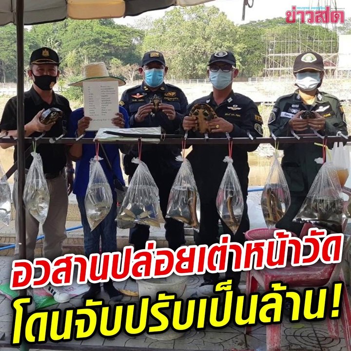 อวสานปล่อยปลาหน้าวัด รวบแม่ค้าขายเต่าผิดกฎหมาย