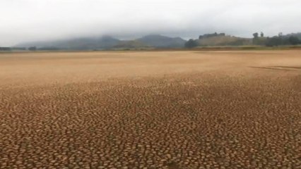 La laguna de Suesca se está muriendo, este es el dramático panorama
