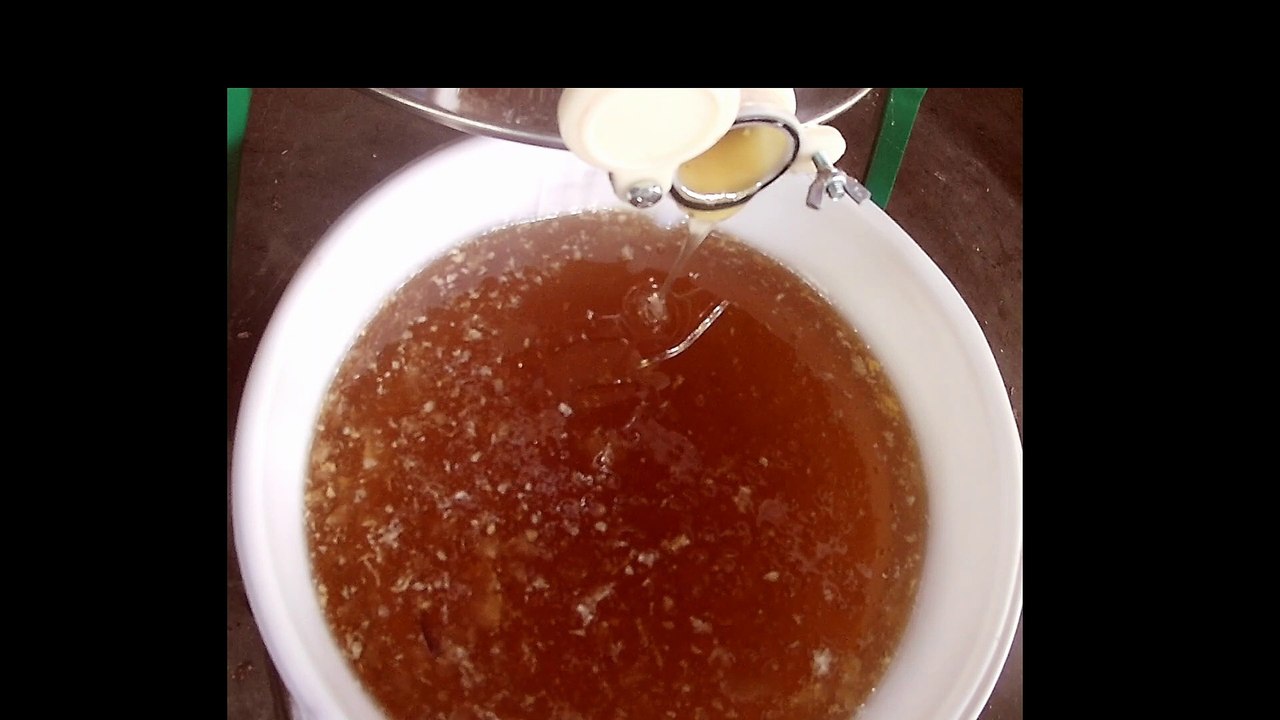 calming video of honey