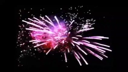 Love American Style Love and the Militant