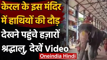 Kerala: केरल के गुरुवायूर मंदिर में हाथी रेस, गोपीकृष्णा ने जीती रेस  | वनइंडिया हिंदी