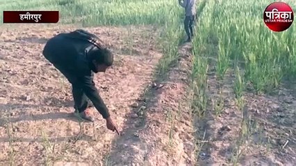 पति ने पत्नी की हत्या की, पुलिस जांच पर जुटी