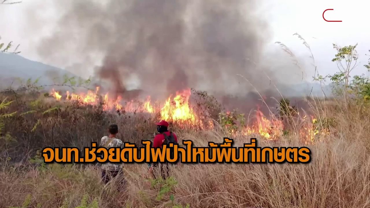 ไฟป่าไหม้พื้นที่เกษตร