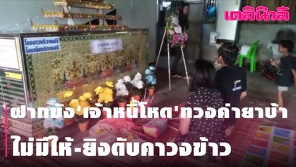 ฝากขัง'เจ้าหนี้โหด'ทวงค่ายาบ้า ไม่มีให้-ยิงดับคาวงข้าว | Dailynews | 250264