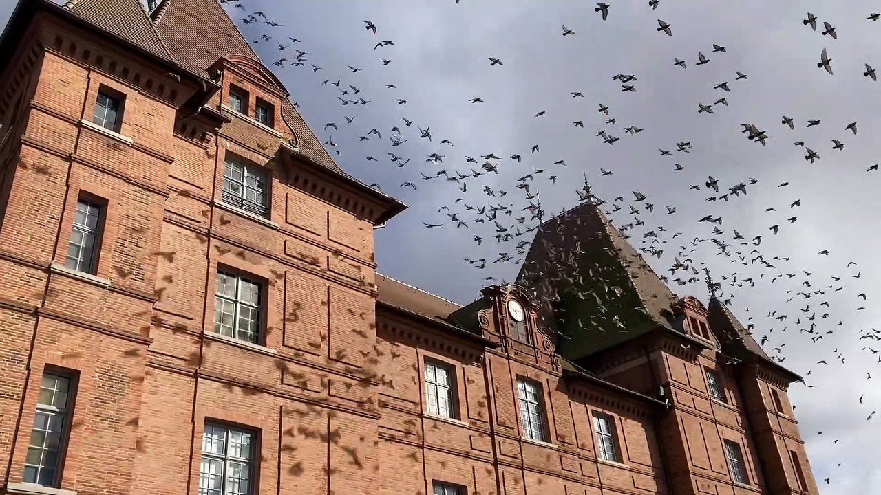 Musée Ingres Bourdelle