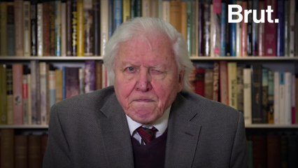 Sir David Attenborough urges global leaders to tackle climate change