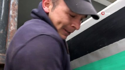 Mezbahadan firar etti, kesilmekten kurtuldu