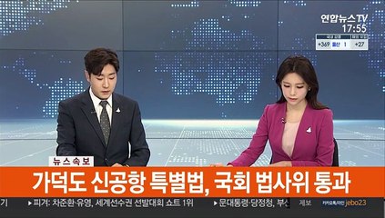 [속보] 가덕도 신공항 특별법, 국회 법사위 통과