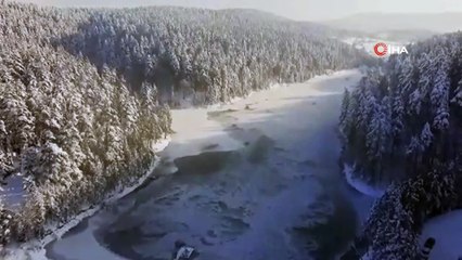 Bozcaarmut Göleti buz tuttu