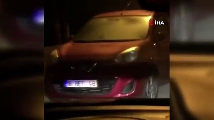 Bursa'da aç kalan domuzlar sokağa indi