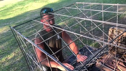 Setting Turtle Traps to Catch Snapping Turtles! Quarantine 2020