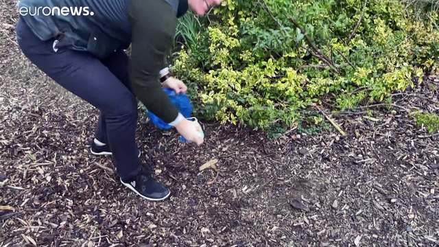 Βρετανία: 1500 τόνοι μασκών και γαντιών κάθε μήνα στα σκουπίδια λόγω πανδημίας