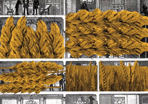 Petites histoires naturelles de l'architecture - Episode 2 - Le blé et la ville