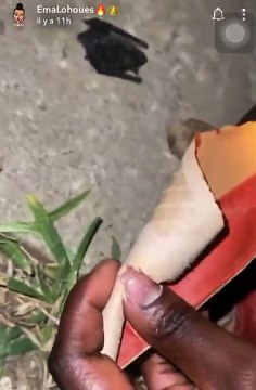 Sorcellerie : Emma Lohoues attaquée par une chauve-souris après le serpent (vidéo)